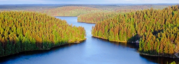 finland-repovesi-national-park