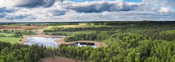 lithuania forests and lakes 9